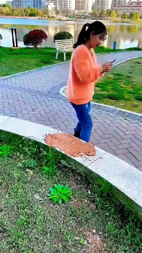 Alibaba Gadgets! Tool Items, New Gadgets, Smart Kitchen Appliances, Home Cleaning/Inventions 🎉🤯😅🌿🚫🤣😳