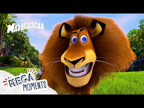 Alex is THE Cat! 🦁 | Madagascar | Mega Moments
