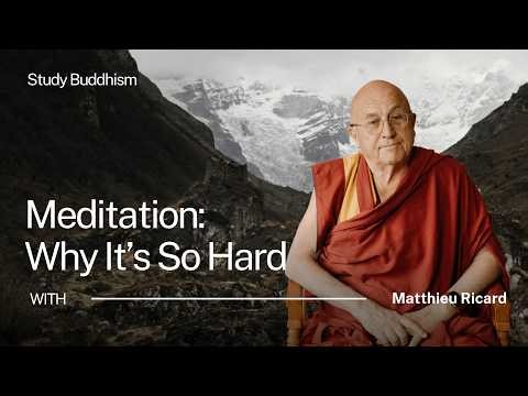 Why Meditation Feels So Hard (And What To Do About It) | Matthieu Ricard