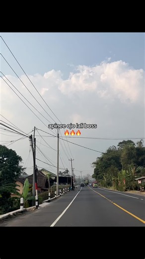 Apinee Ojo Lali Boss - Lagu dan Lirik Singkat