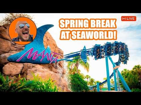 🔴LIVE SeaWorld Spring Break! Coasters, Orcas & Dolphin Shows