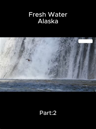 Part:2 .Fresh water or freshwater is any naturally occurring liquid or frozen water containing low concentrations of dissolved salts and other total dissolved solids. The term excludes seawater and brackish water, but it does include non-salty mineral-rich waters, such as chalybeate springs. Fresh water may encompass frozen and meltwater in ice sheets, ice caps, glaciers, snowfields and icebergs, natural precipitations such as rainfall, snowfall, hail/sleet and graupel, and surface runoffs that 