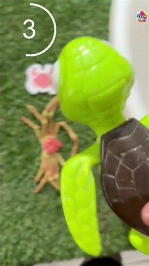 SEA ANIMALS NAMES AND FACTS WITH COOL TOYS: SEAHORSE JELLYFISH TURTLE & CRAB