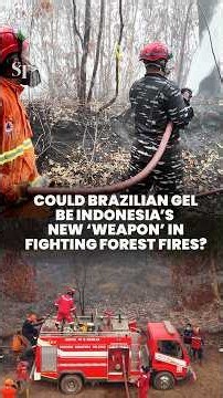Hazardous haze in Indonesia: Could Brazilian gel be new ‘weapon’ in fighting forest fires?