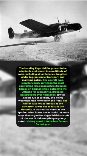 One B*mber, Every Role 😳 #history #ww2