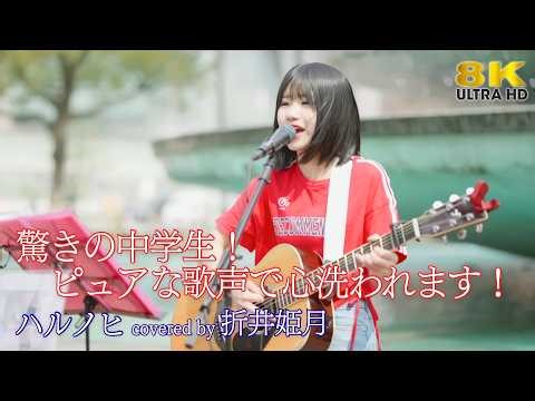 【 歌うま 】驚きの中学生！ピュアな歌声で心洗われます！ ハルノヒ / あいみょん（ covered by 折井姫月 ）名古屋路上ライブ 🎧推奨 高音質 8K映像