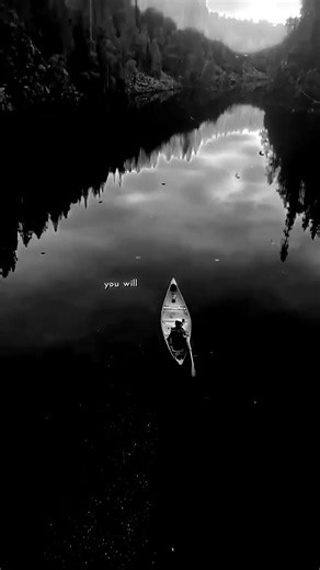The Nights-Avicii #lyrics #edit #music #song #aesthetic #whatsappstatus #englishsongs #shorts #fyp