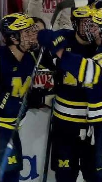 Michigan Hockey Highlights vs. Denver, Game 2