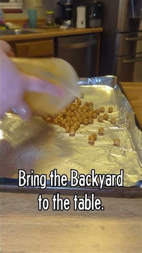 JBBQ_best bbq vegan snack