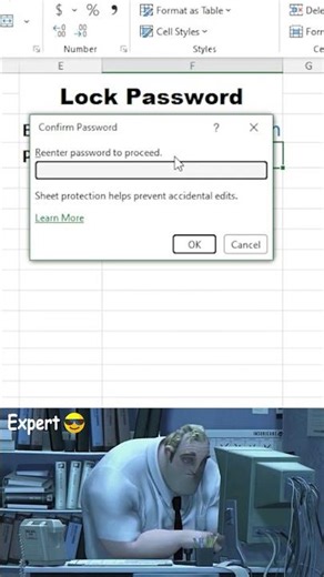 How to Protect an Excel Sheet with a Password
