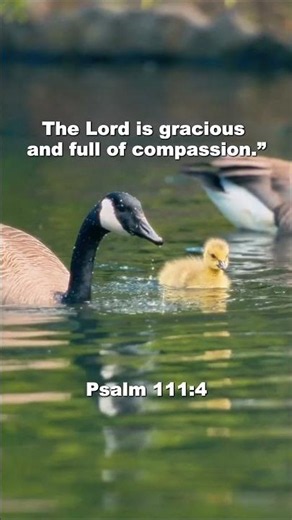 When You Feel Overwhelmed, Remember His Goodness