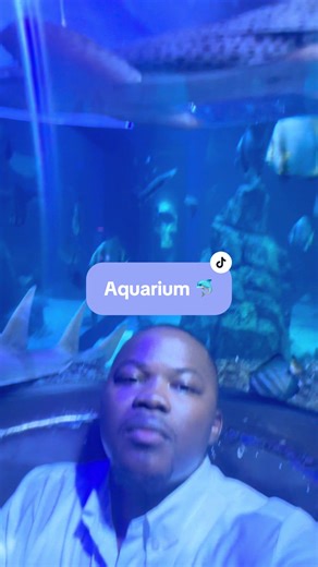 Discover the Bahrain Aquarium in Munama