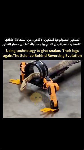 🐍 أفعى بأرجل آلية؟! | Reversing Snake Evolution with Robotics! 🤖