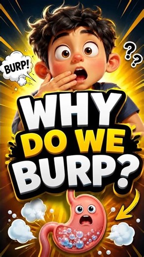 Why Do We Burp? 🤯 The Truth! #WhyDoWeBurp #Burp #HumanBody #shorts #factohector