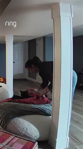 Night time routine: tuck in your cat 🐈‍⬛😴