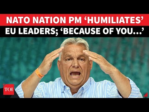 ‘You Fools, Because Of Your…’: NATO Nation PM ‘Humiliates’ Own EU Allies Over Russia Stand