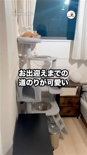 これは早く帰りたくなる☺️｜PECO