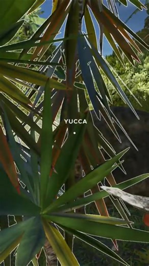 Stranded Deep – Cutting Yucca for Fibrous Leaves 🌴🪓 | Survival Start