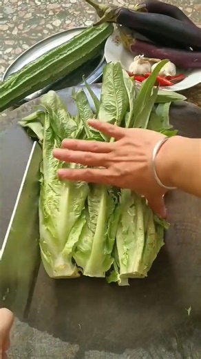 FRESH GREENS prepared with incredible skill 🌿🔪😮 #gardening #farming #garden #harvest #vegetable