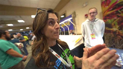 How one animal choice created chaos