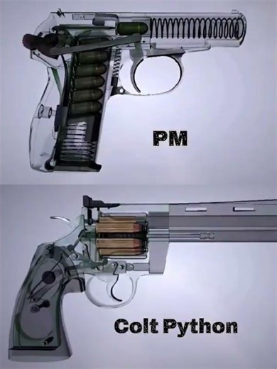 PM vs Colt Python