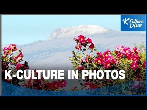 K-Culture in Photos