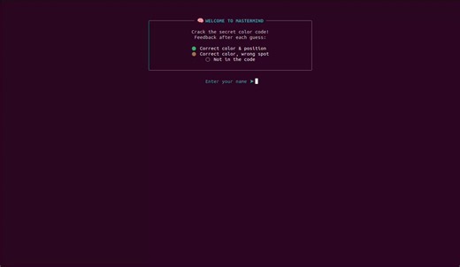 Knuth's Mastermind Solver in 5 Moves or Fewer | Aqeel kabir posted on the topic | LinkedIn