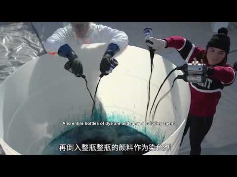 You Won't Believe the World's Largest Elephant Toothpaste Experiment!