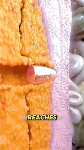 Can a Bullet Really Go Straight Through Your Body?