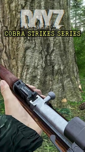 Opportunity Knocks - Cobra Strikes Series! #dayz