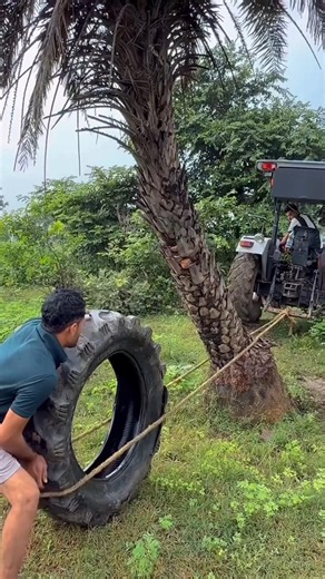 This Tree Refused to Move 🌳