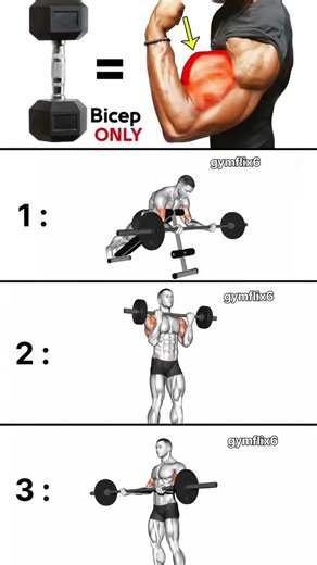 Want HUGE Biceps? Try These 3 Dumbbell Moves 🔥#motivation #fitnessshorts #workout #sports