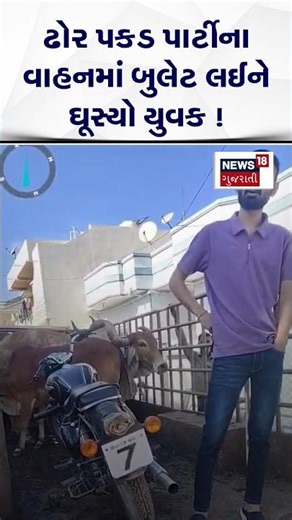 Morbi News Update | ઢોર પકડવા આવેલ વાહનમાં શખ્સ બુલેટ લઈને ઘૂસી ગયો | Bullet | News | N18S
