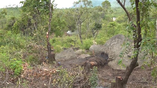 NATIONAL LAUNCH TREE PLANTING-MBC DOCUMENTARY | MBC Digital