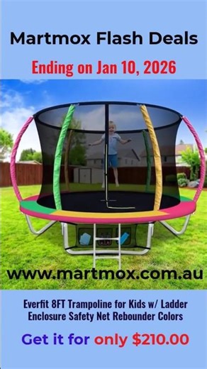 Everfit 8FT Trampoline for Kids w/ Ladder Enclosure Safety Net Rebounder Colors #martmox