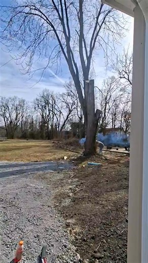 This was a large 34” DBH silver maple with included bark in the split. I knew it would split if it were cut from the ground so I removed all the from the house and garage before cutting it. | Carter's Tree Service