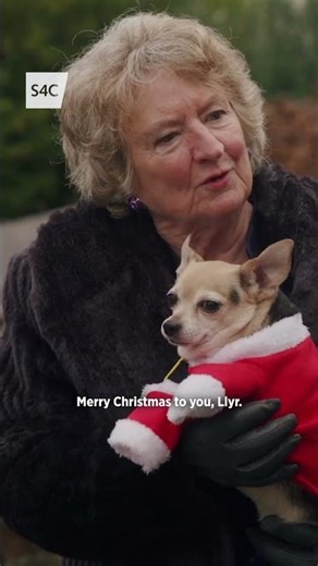 Nadolig Llawen! 🎅 Someone’s feeling a bit Grinchy 👀