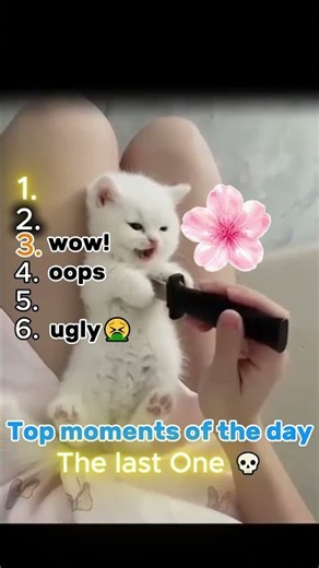 Top Daily News #animals #funny #laugh