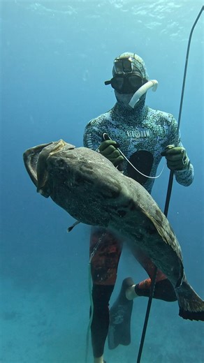 How We Spearfish Giant Fish! | Ryan Myers Spearfishing
