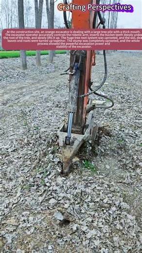 Insane Excavator Uproots Giant Tree Root – So Powerful!