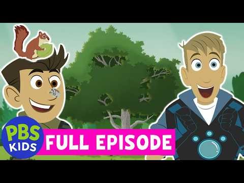 Wild Kratts FULL EPISODE | Butternut Tree 🌳 | PBS KIDS