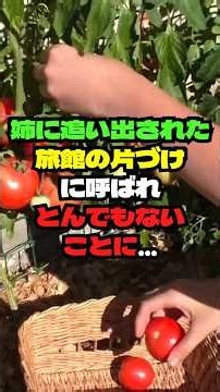 ㊗️9万再生‼️「泊めておく部屋はない」と私を追い出した姉。10年後、呼ばれた旅館には布団が一組… #シニア #シニアライフ #シニア朗読 #あるある #60歳代