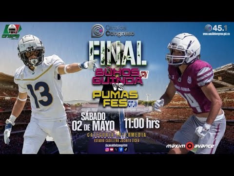 PUMAS ACATLÁN vs BÚHOS GUINDA | GRAN FINAL Categoría INTERMEDIA ONEFA | MÁXIMO AVANCE EN VIVO