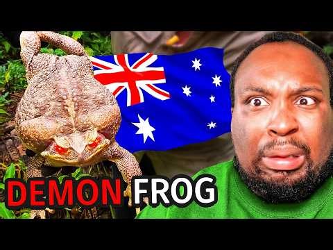 The DEMON that Took Over Australia