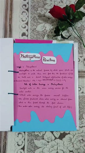 Solar energy — the power of nature shaping our future || Grade 10 || Science Project ||