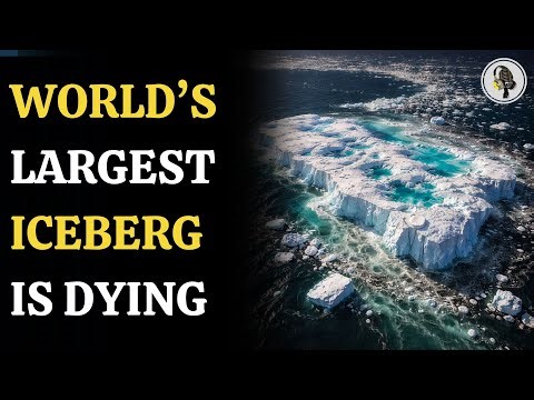 NASA Tracks A23a Iceberg’s Final Journey | WION Podcast