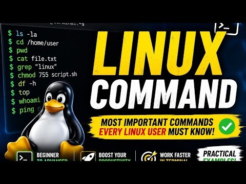 linux basics command