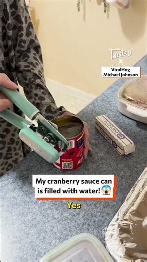 Something Is Wrong With My Cranberry Sauce😡