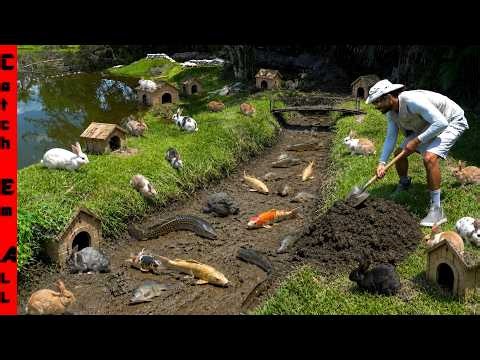 EMPTYING My BACKYARD RIVER to BUILD a Self-Sustaining EXOTIC FISH and Rabbit HOMESTEAD!