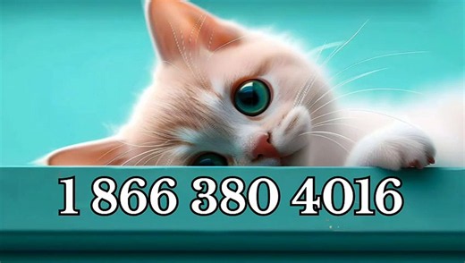 ≋ 《full guide》 Rabby WALLET® – [U.S. HELP DESK Phone Number: A Comprehensive Step-by-Step